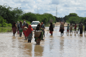 Inclusion, Accountability, and Protection: Analysis on the 2019 Flood Response in Hiiraan