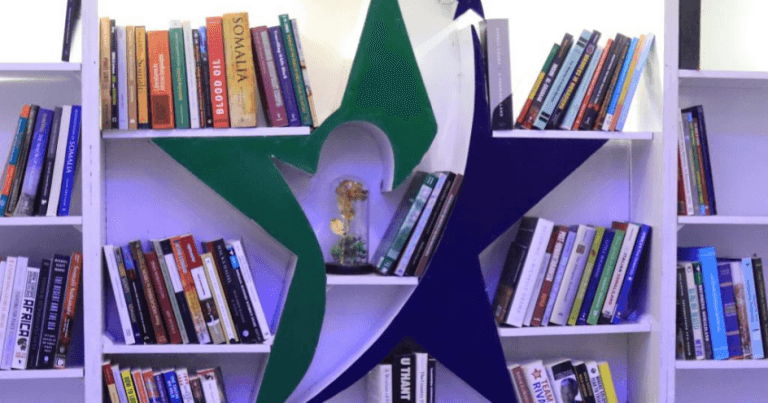 2021 Somali Public Agenda’s Year in Review