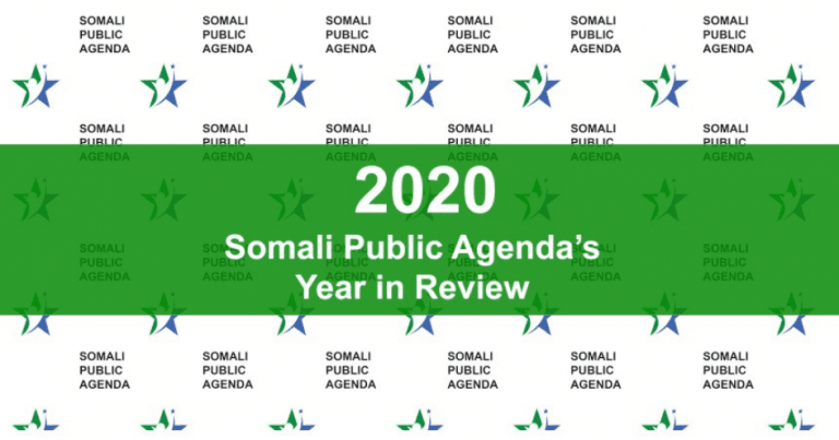 2020 Somali Public Agenda’s Year in Review