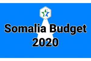 Review of 2020 federal government budget for security, economic growth and public services