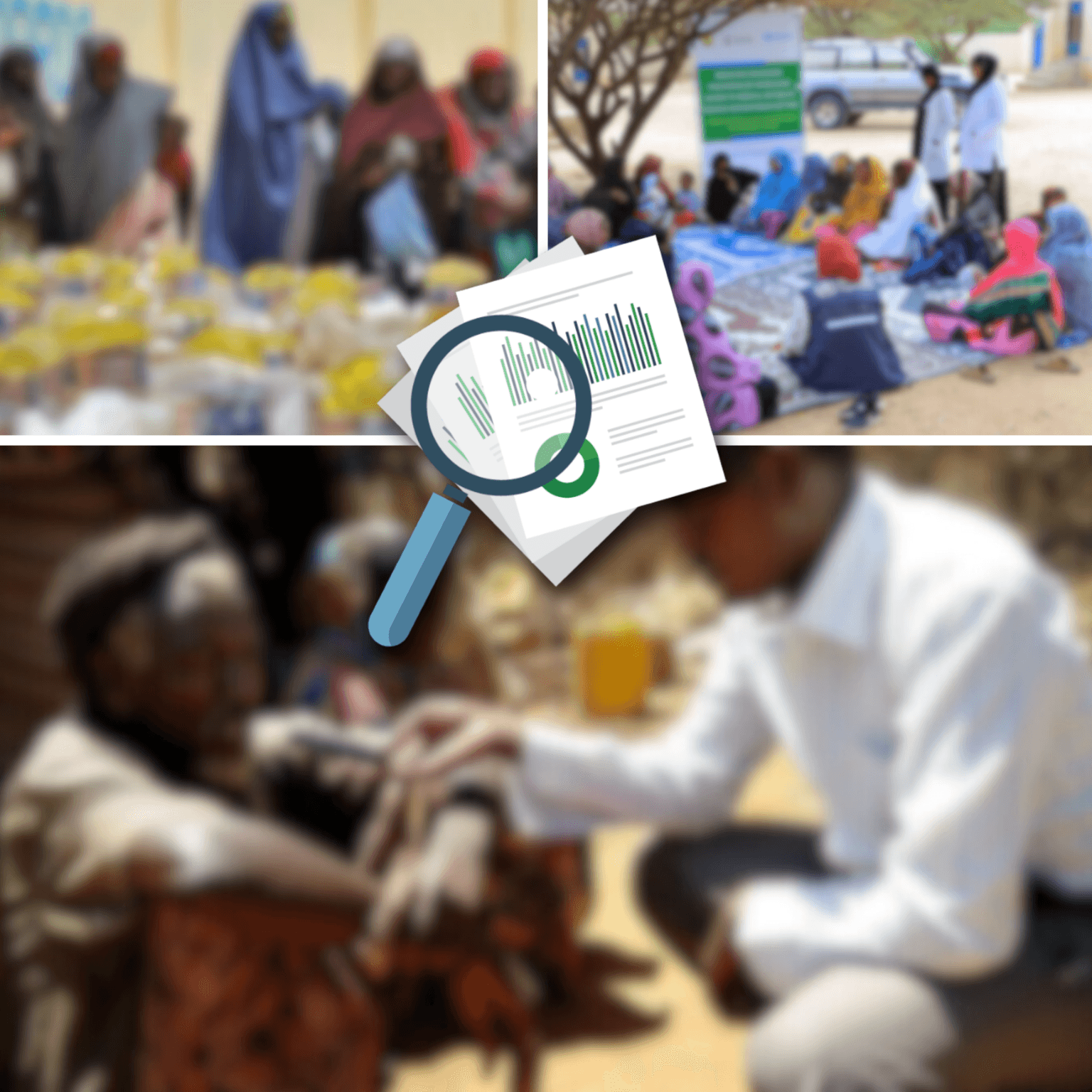 The role of national civil society and media in supporting ...